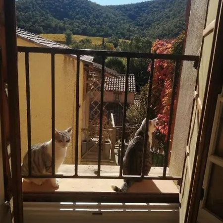 Privatunterkunft Campagne Hyères